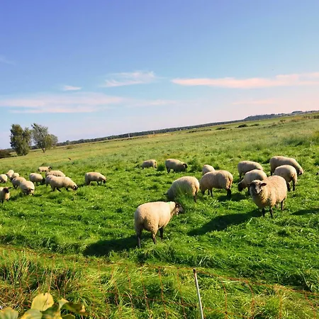 Reetdach-ferienwohnungen 8 Kroening * Groß Zicker