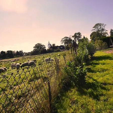 別荘 Reetdach-ferienwohnungen 8 Kroening Groß Zicker